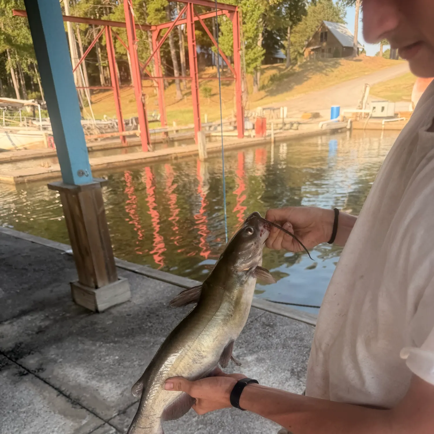 catch
