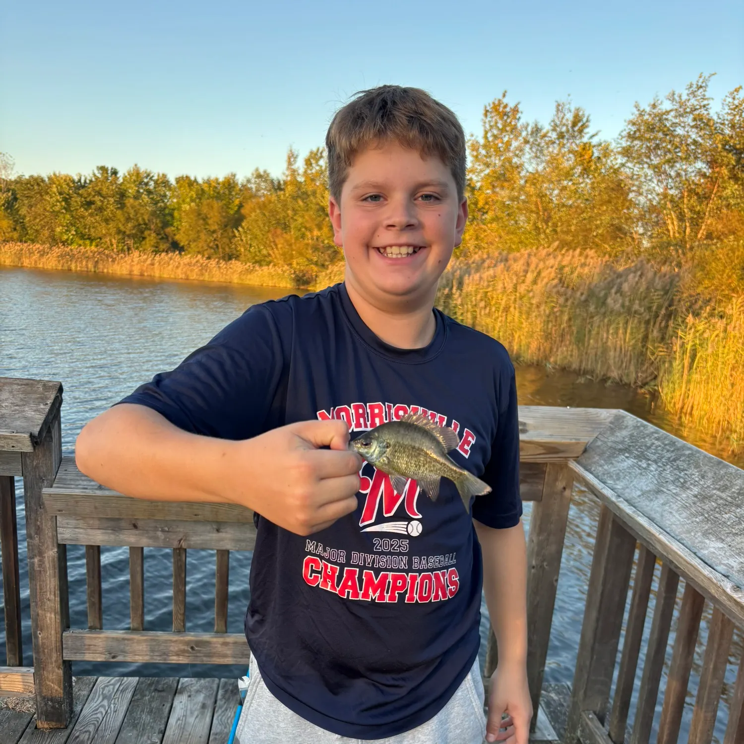 Bluegill caught on Fishbrain