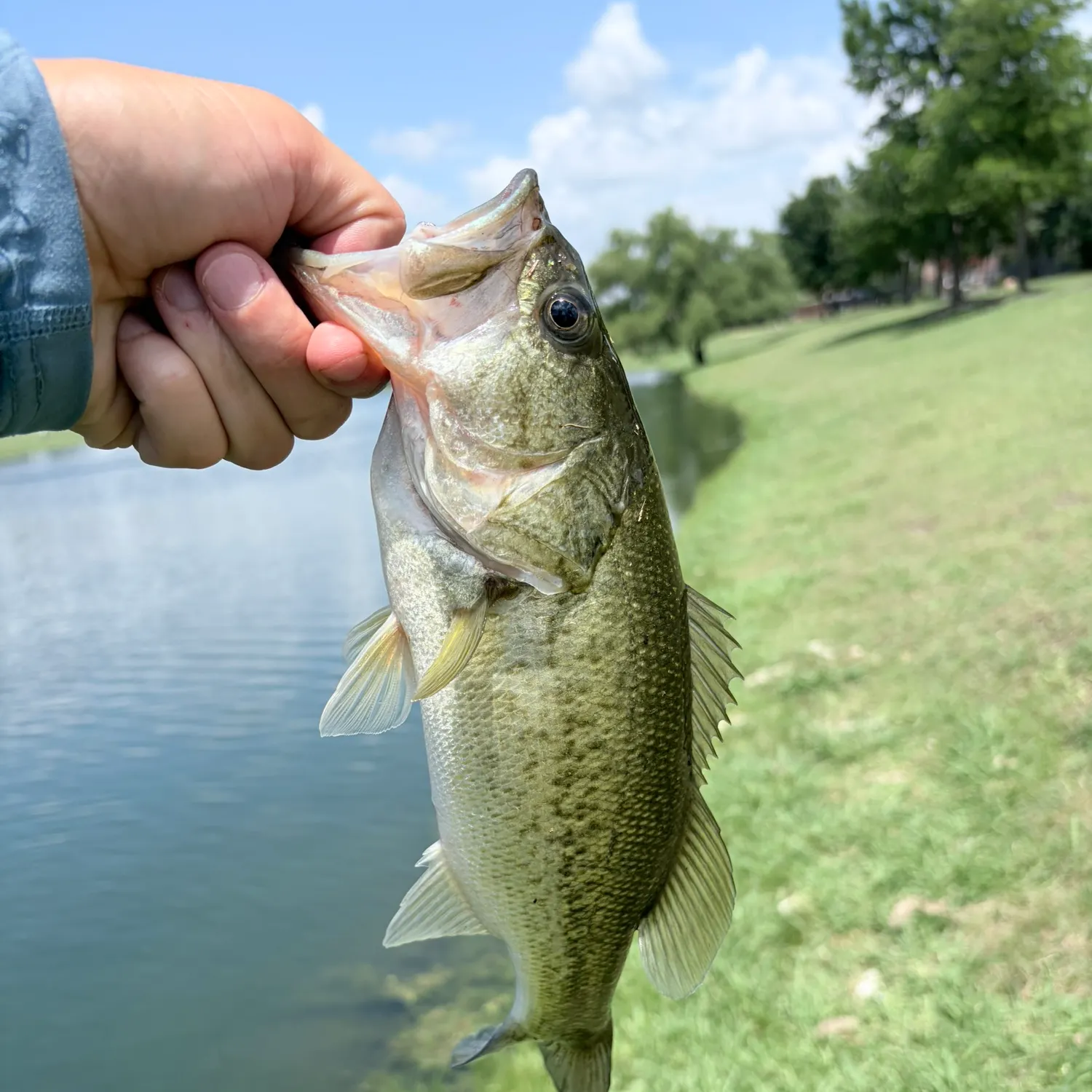 1 pound of lures fishing care package All-In-One Kit  1standard Fishing