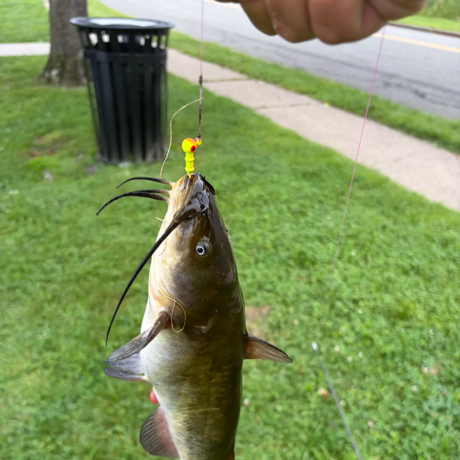 catch