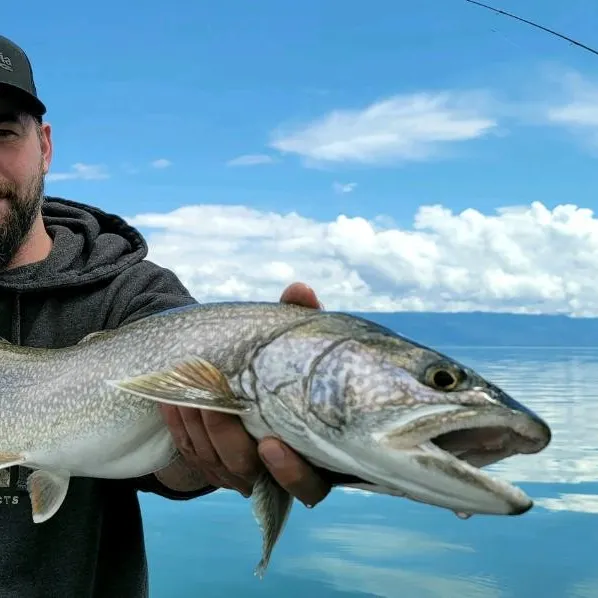 angler catch