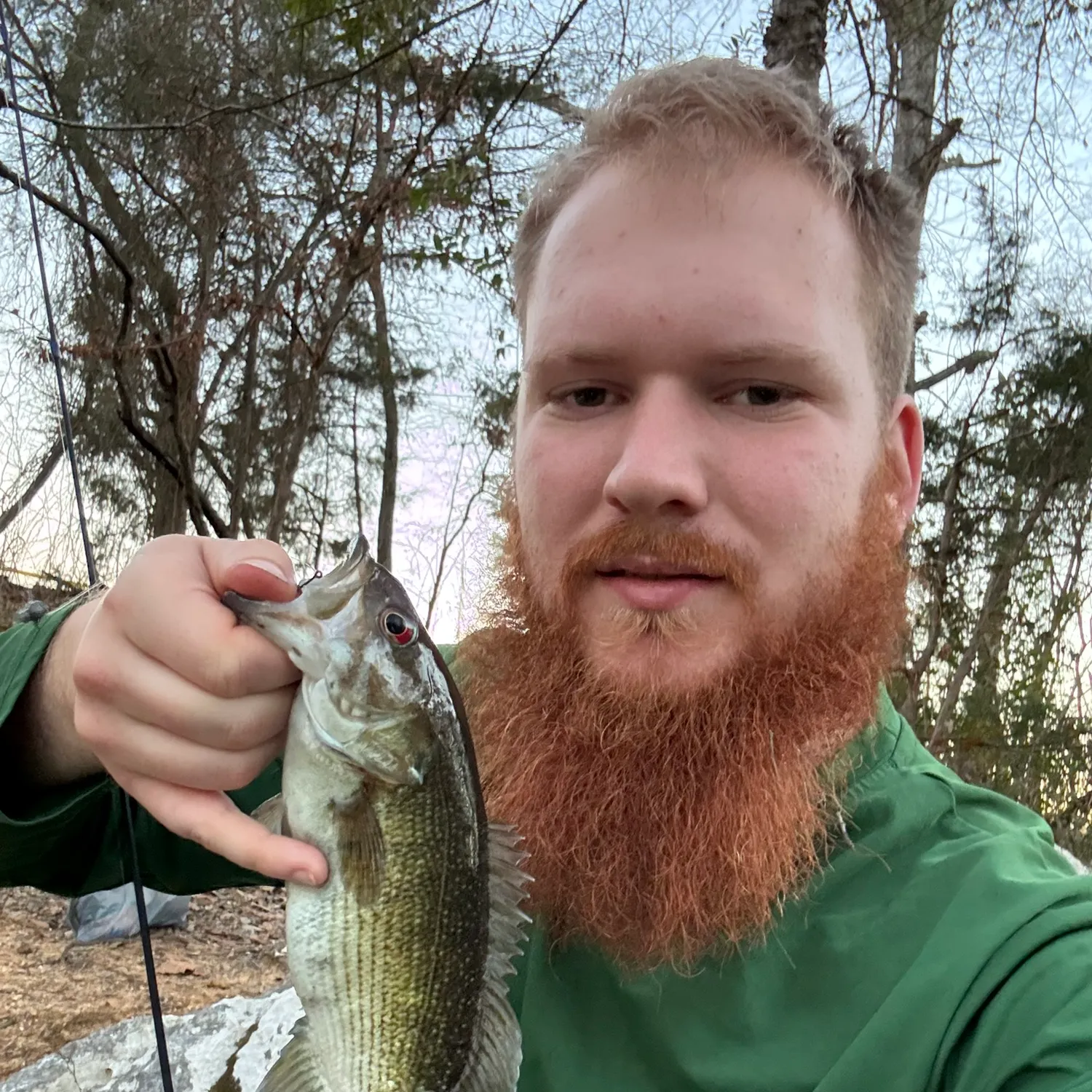 The most recent Cahaba bass catches on Fishbrain