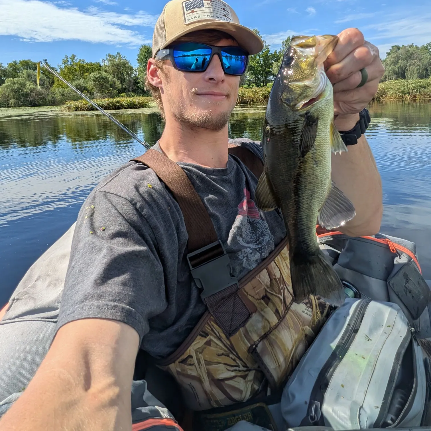 Largemouth bass caught on Fishbrain