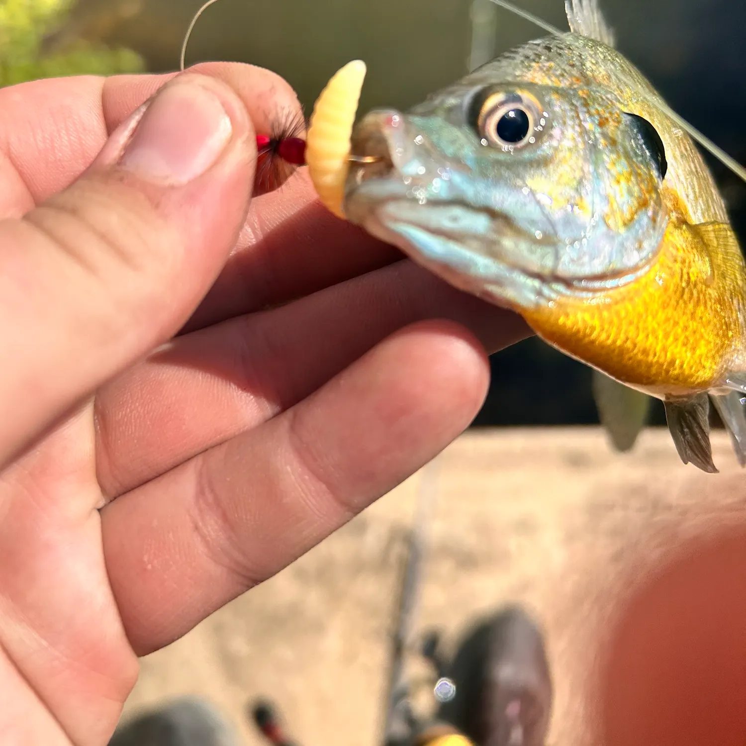 catch