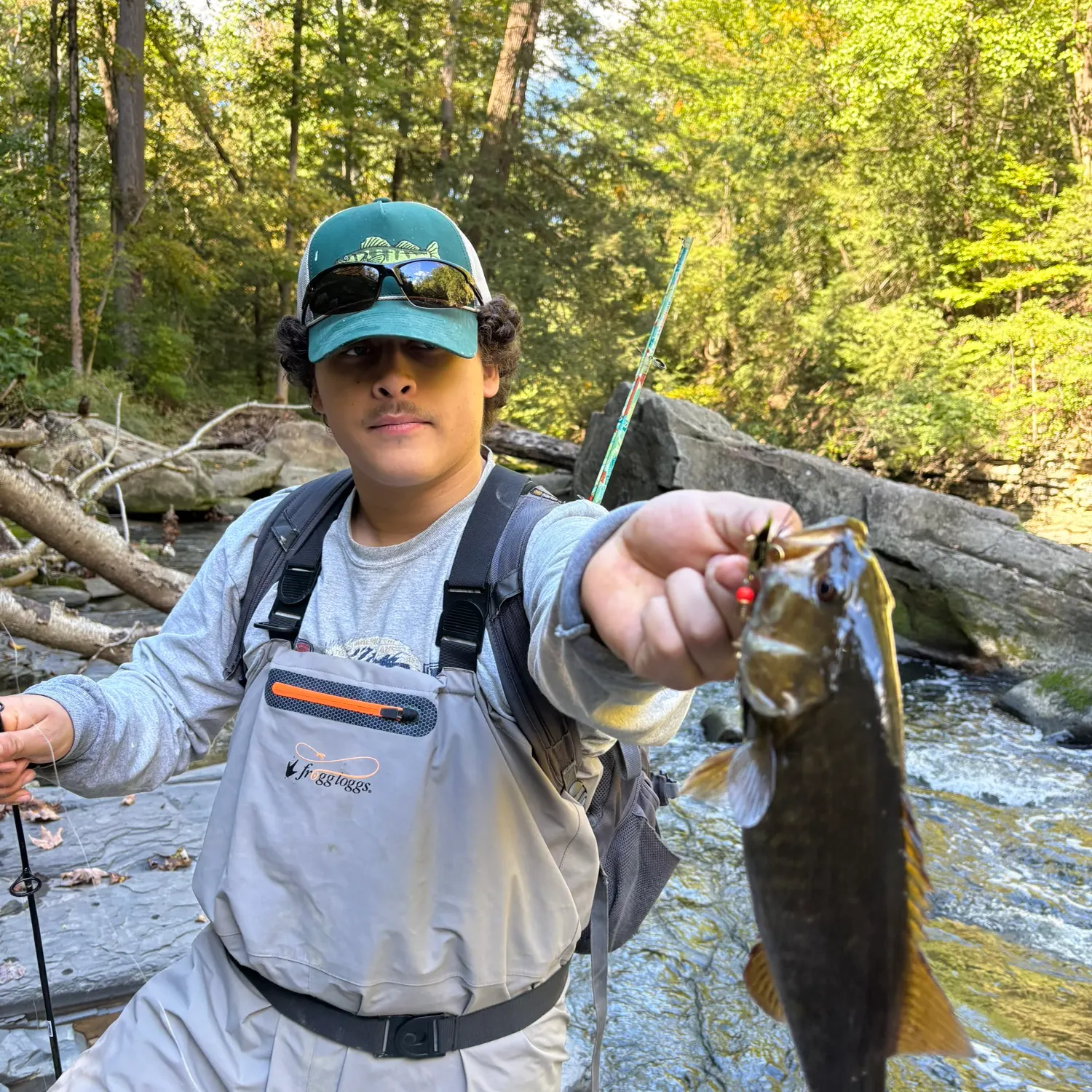 Smallmouth bass caught on Fishbrain