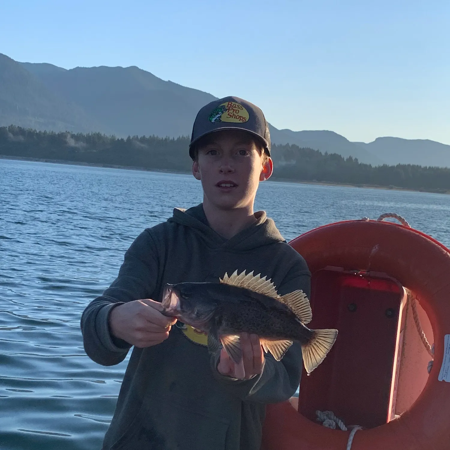 Black rockfish caught on Fishbrain