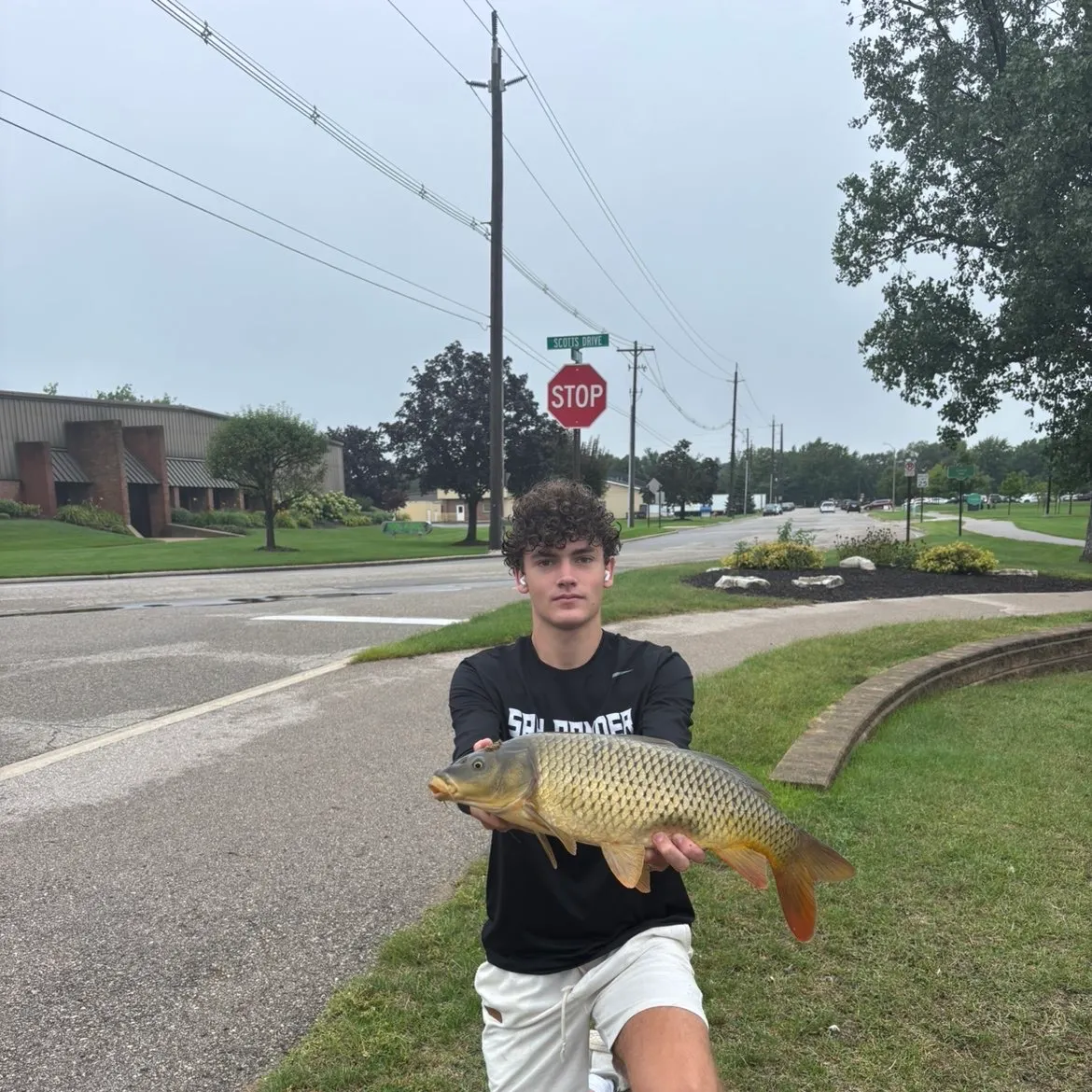 Common carp caught on Fishbrain