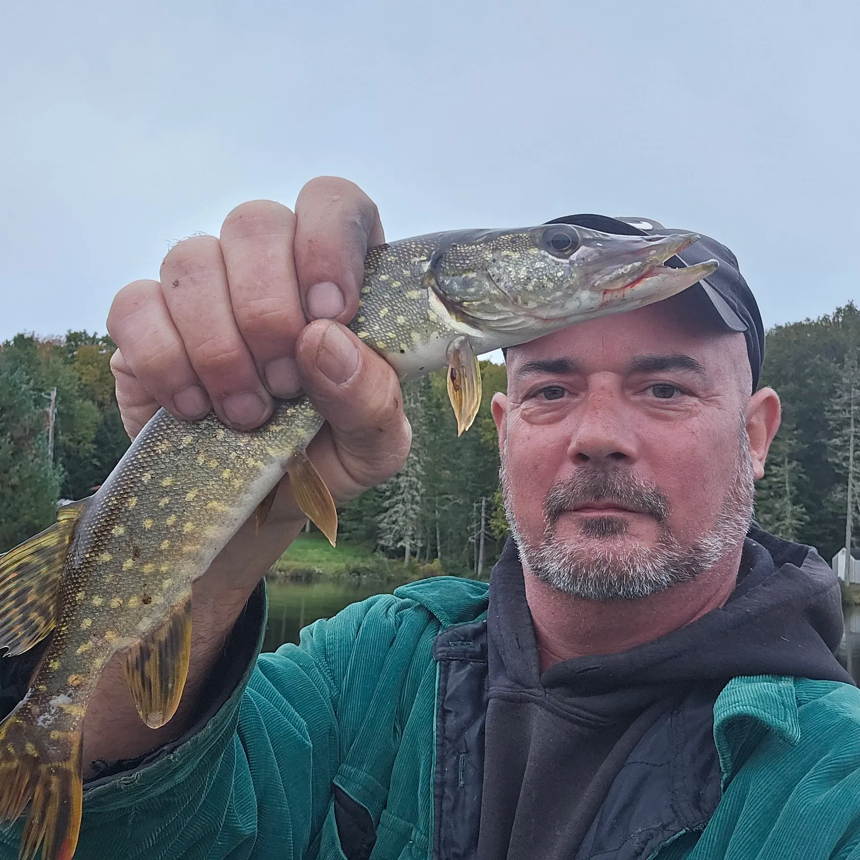 Northern pike caught on Fishbrain