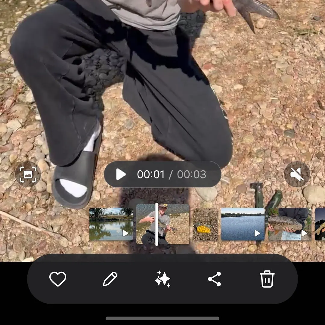 Channel catfish caught on Fishbrain