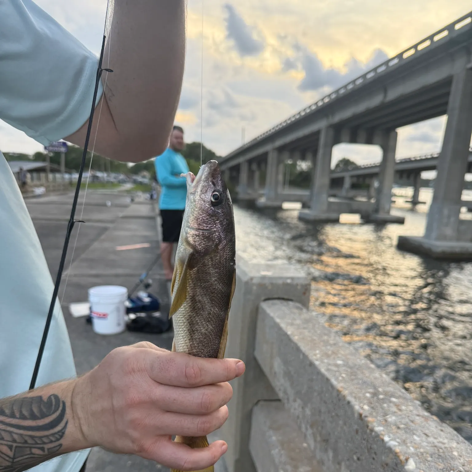 catch