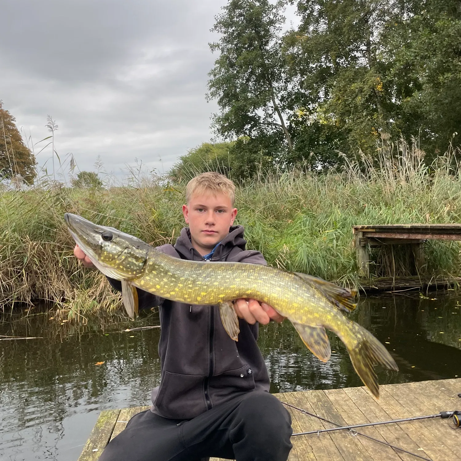 Northern pike caught on Fishbrain