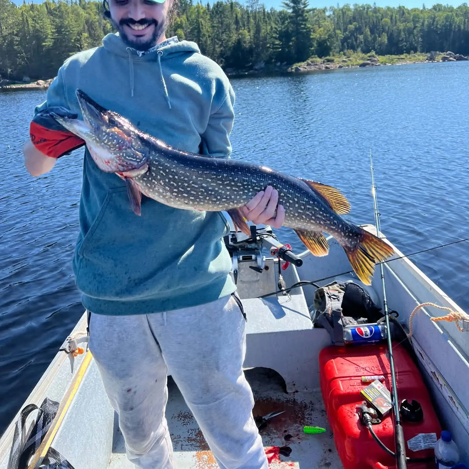 Northern pike caught on Fishbrain