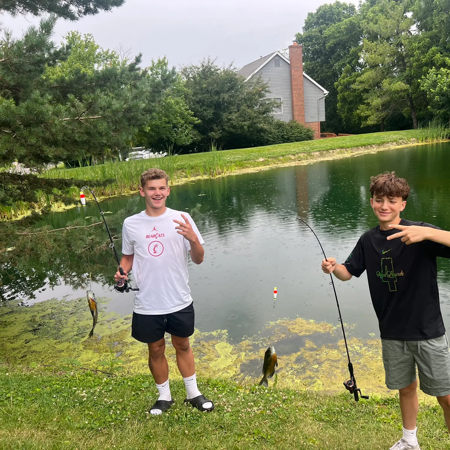 recently logged catches