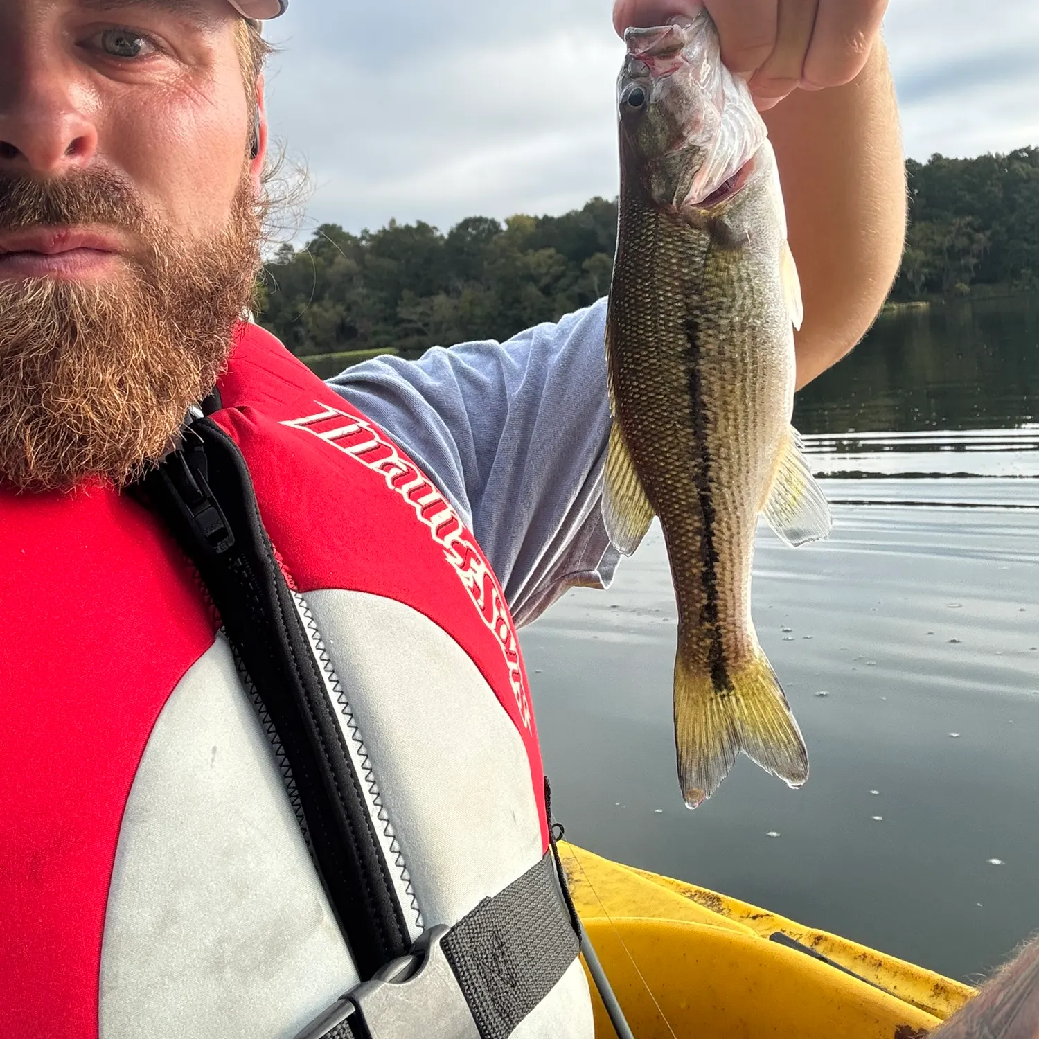 Spotted bass caught on Fishbrain