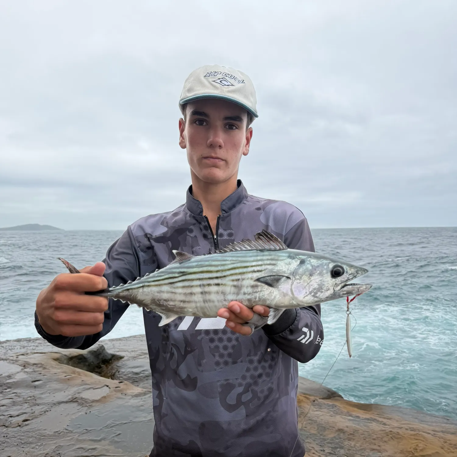 The most recent Australian bonito catches on Fishbrain
