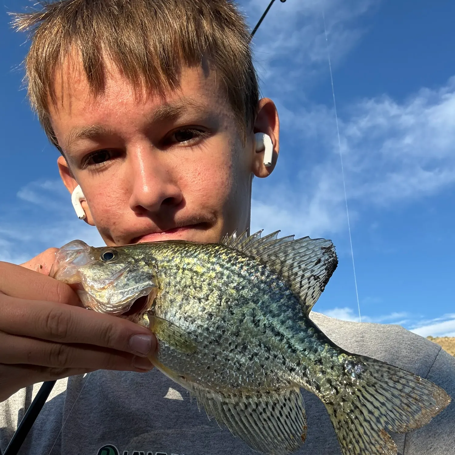 Black crappie caught on Fishbrain