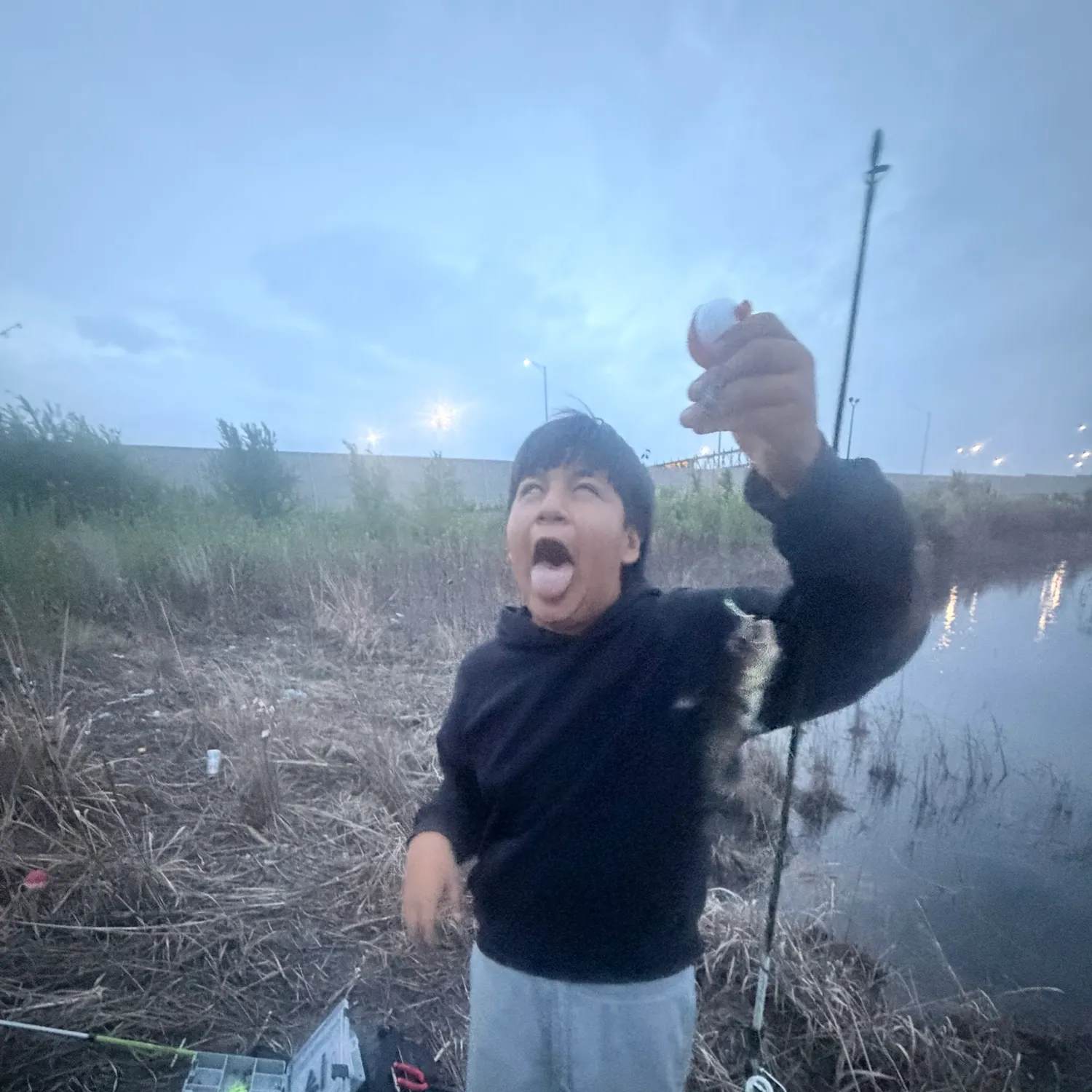 Fish caught on Fishbrain