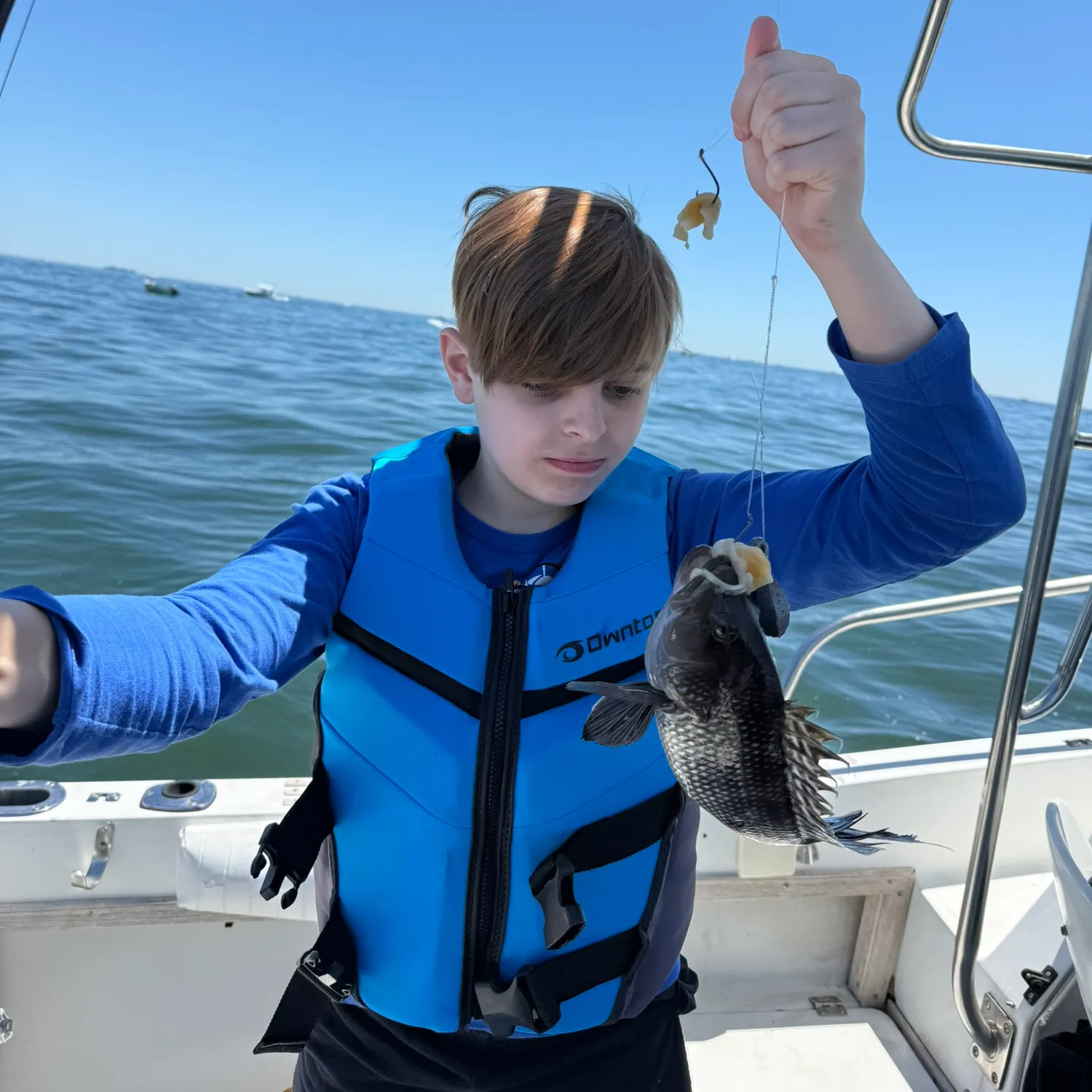 The most recent Black sea bass catches on Fishbrain