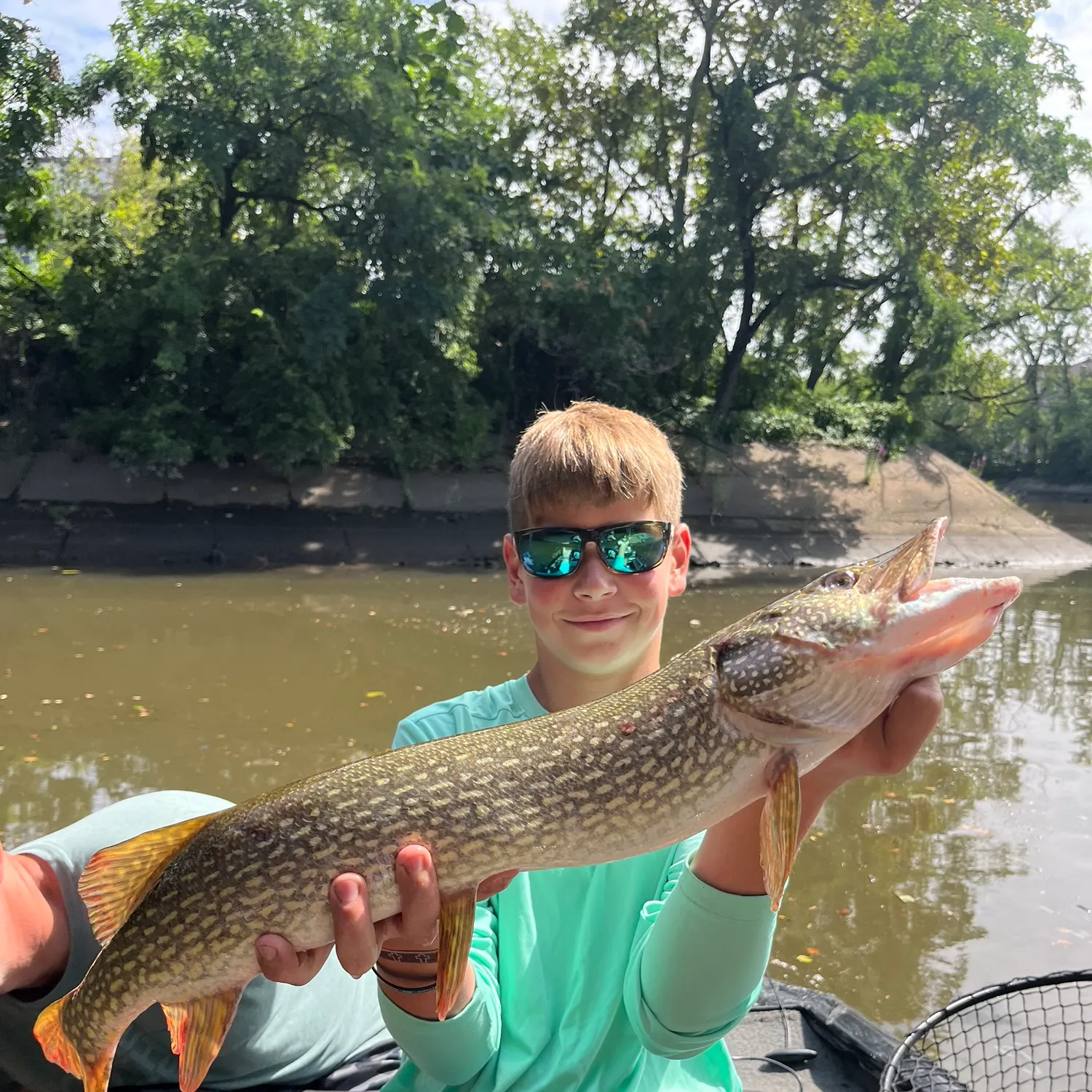 Northern pike caught on Fishbrain
