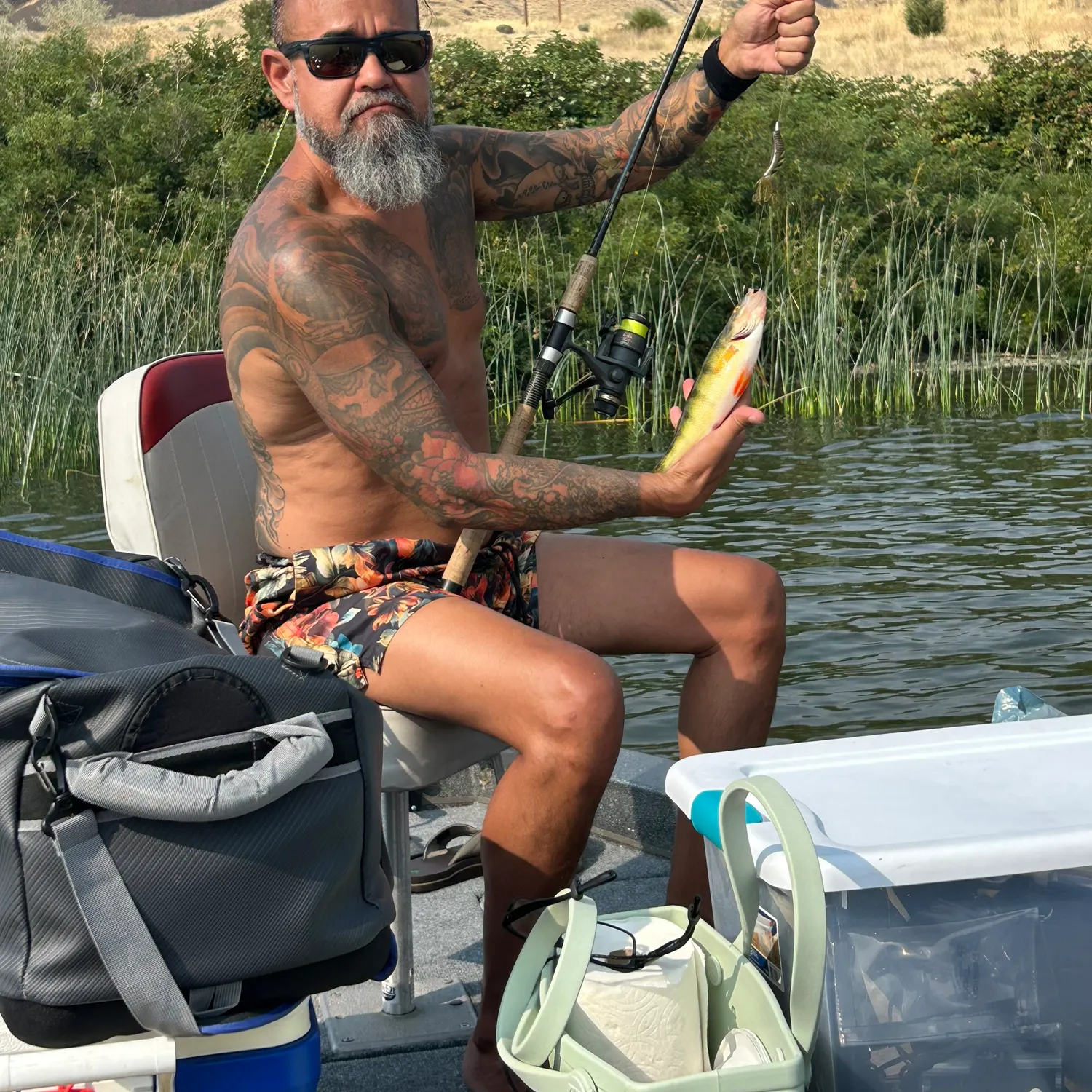 recently logged catches