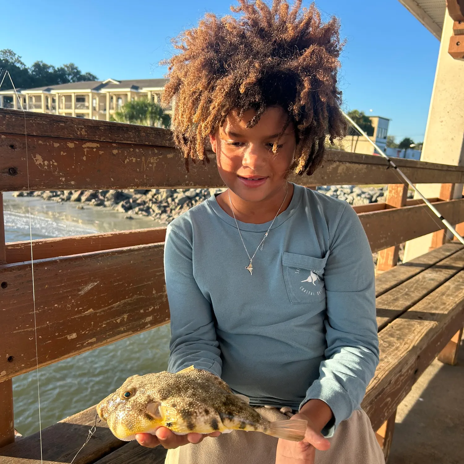 Southern puffer caught on Fishbrain