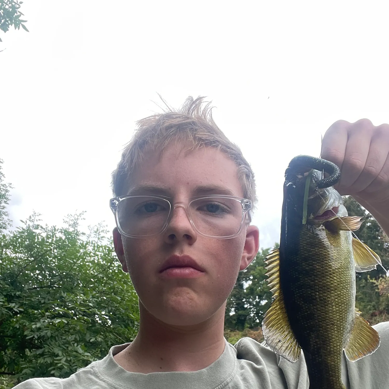 Smallmouth bass caught on Fishbrain