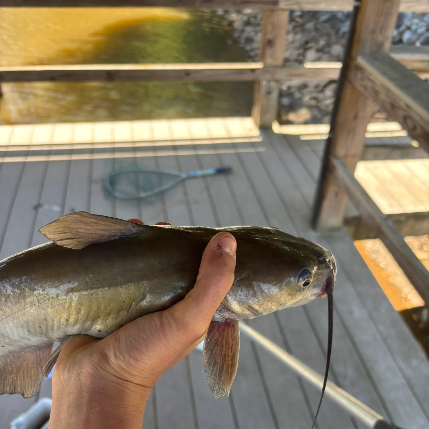 catch