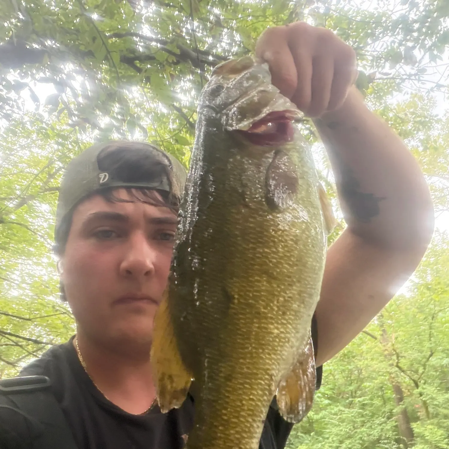 Smallmouth bass caught on Fishbrain