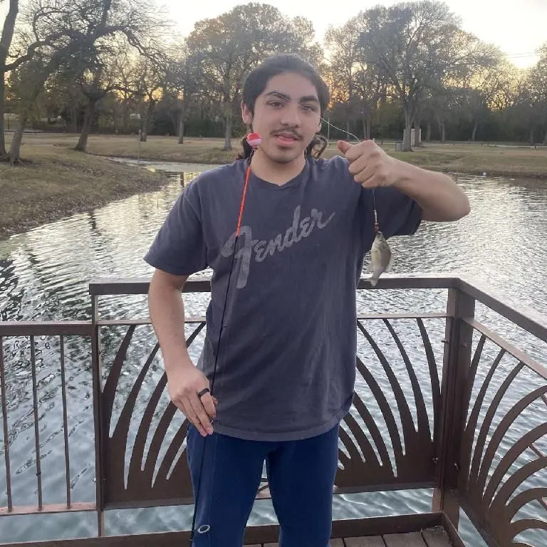 The most recent Shiner perch catches on Fishbrain