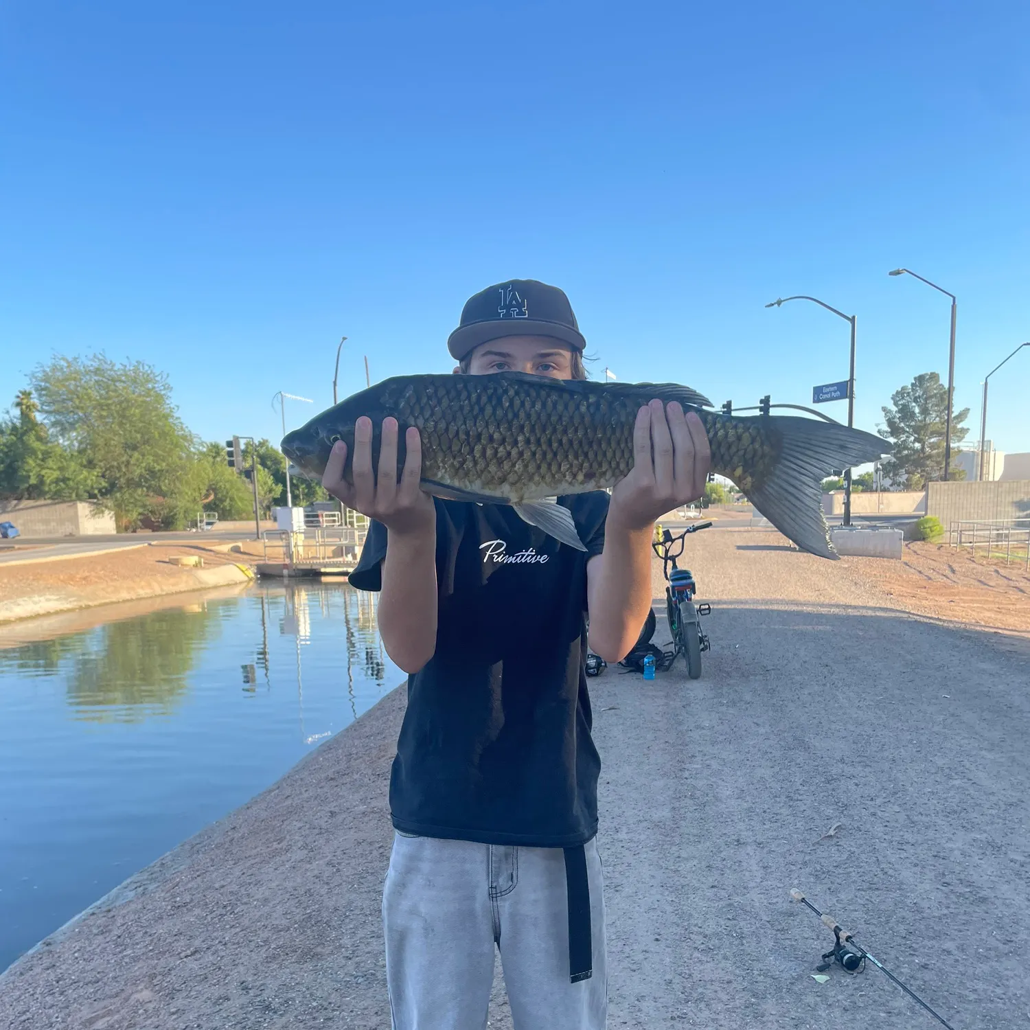 catch