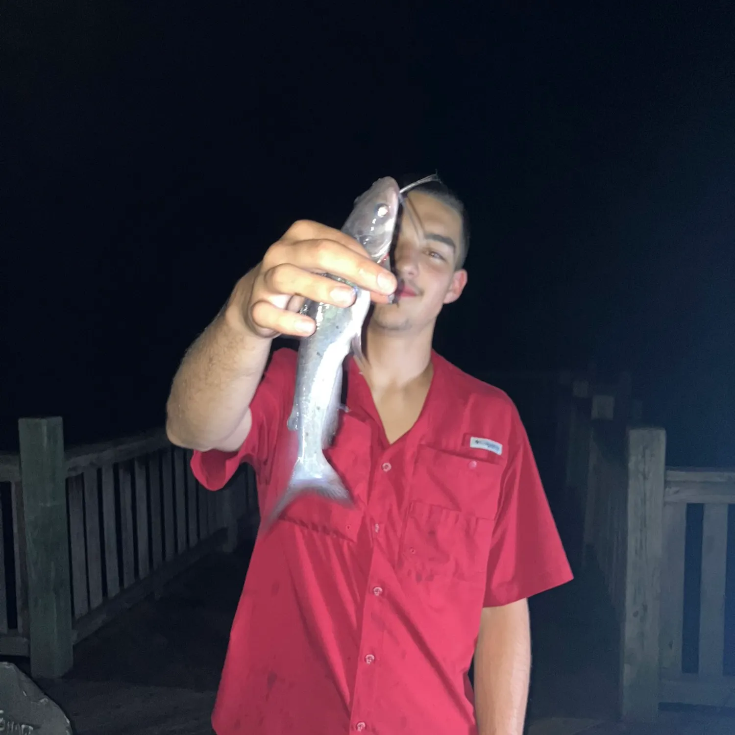 Channel catfish caught on Fishbrain