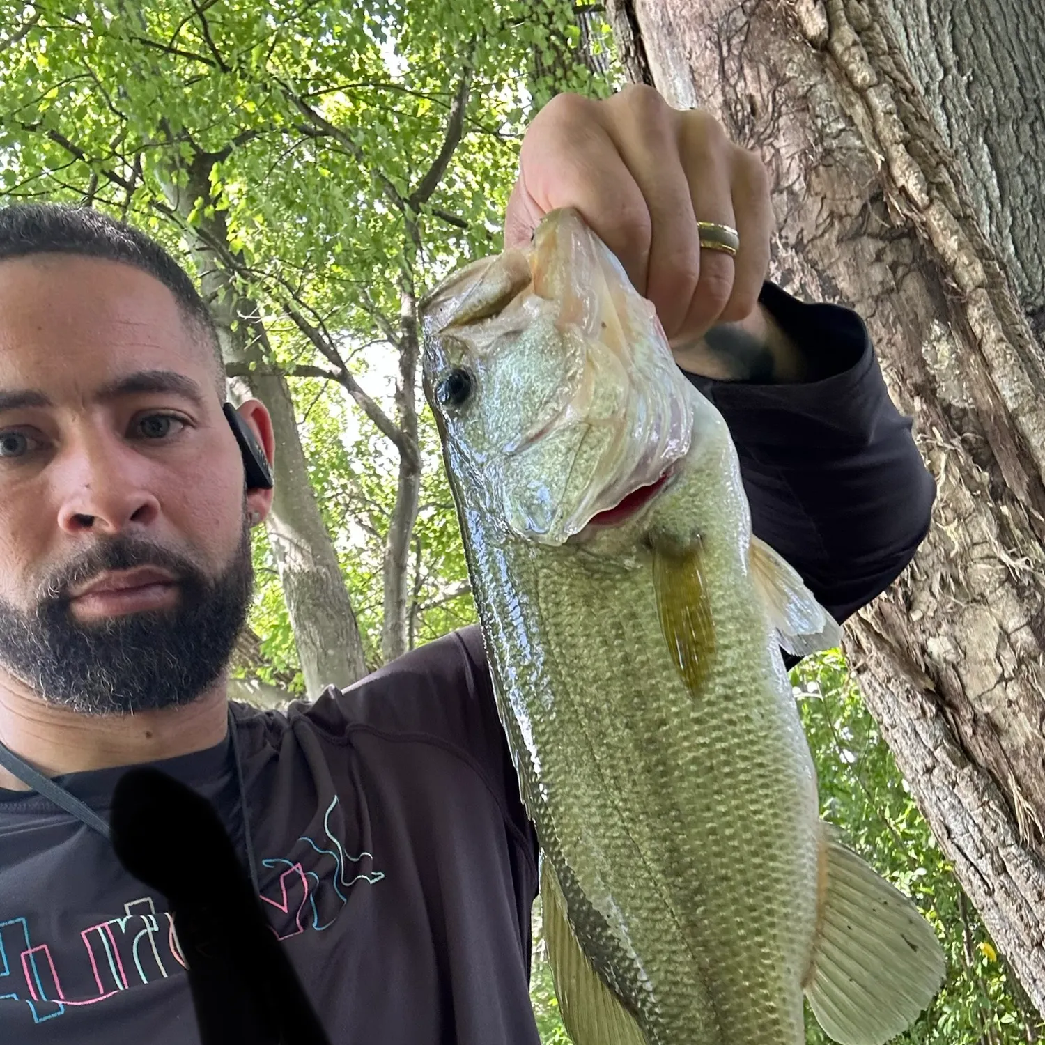 Fish caught on Fishbrain