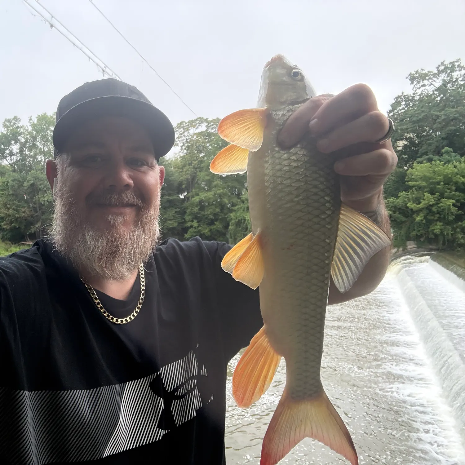 The most recent Smallmouth redhorse catches on Fishbrain