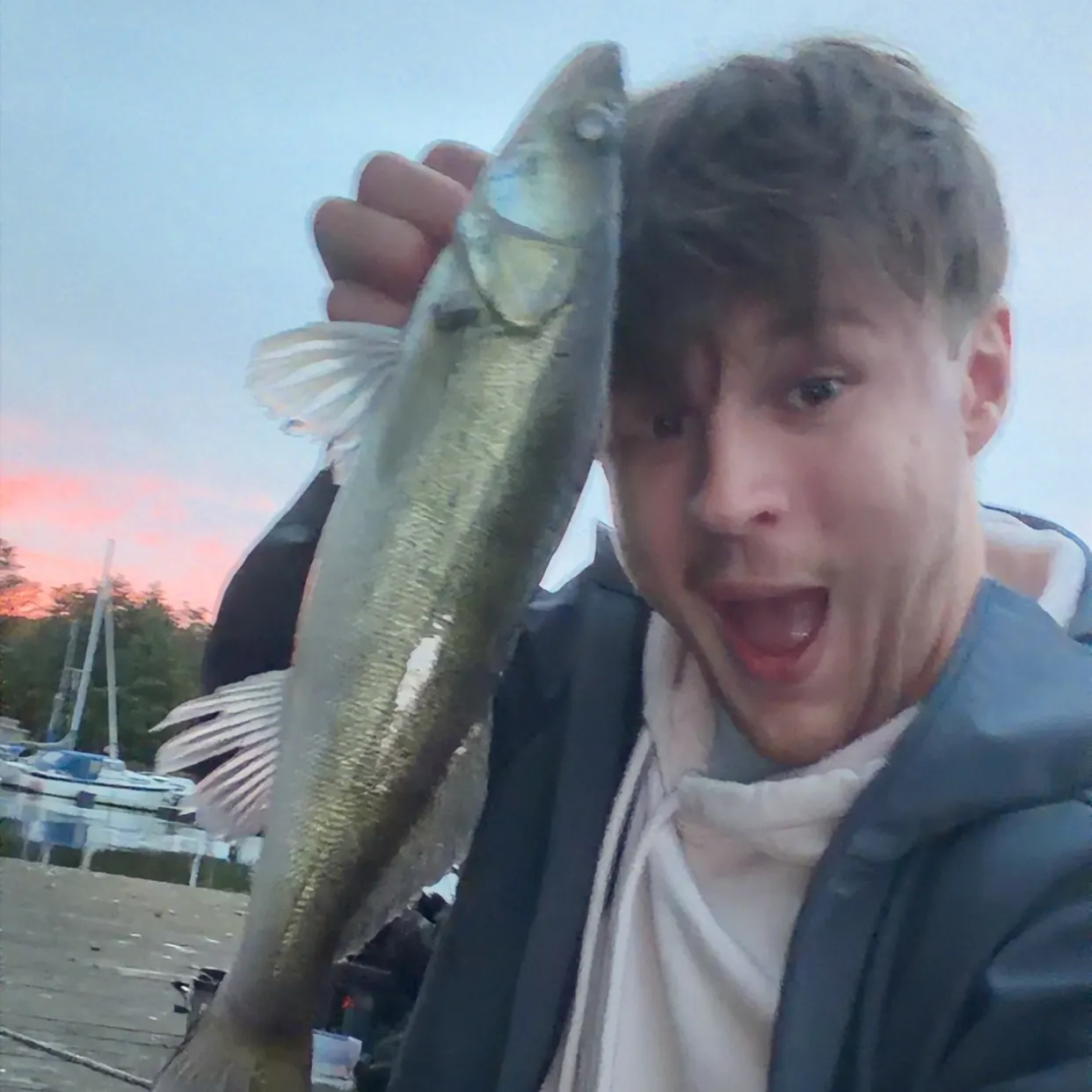 Zander caught on Fishbrain