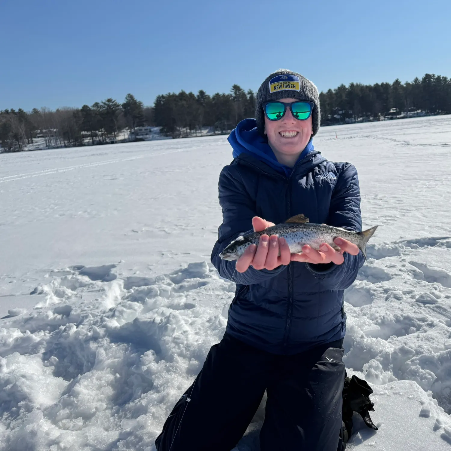The most recent Landlocked atlantic salmon catches on Fishbrain