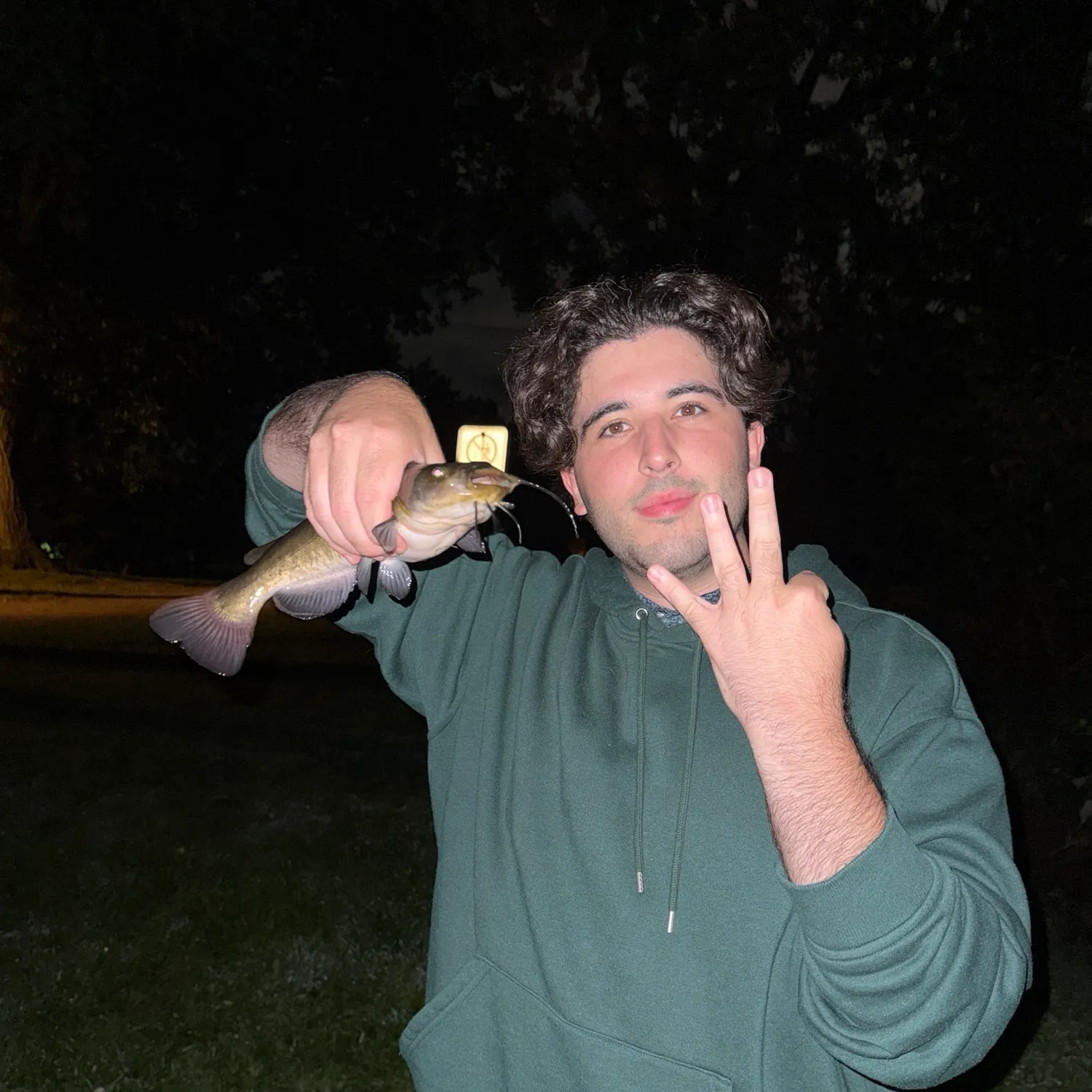 Brown bullhead caught on Fishbrain