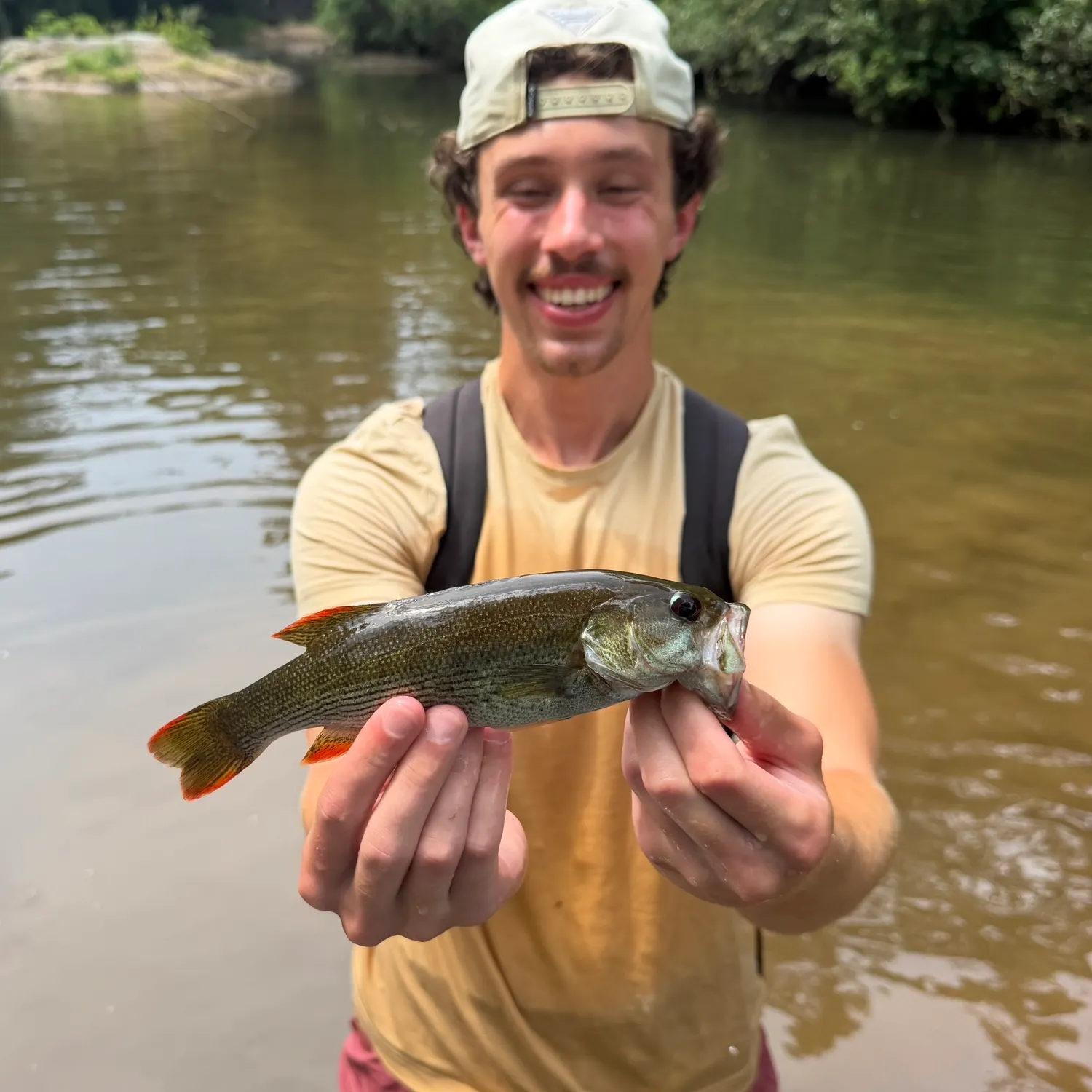 The most recent Chattahoochee bass catches on Fishbrain