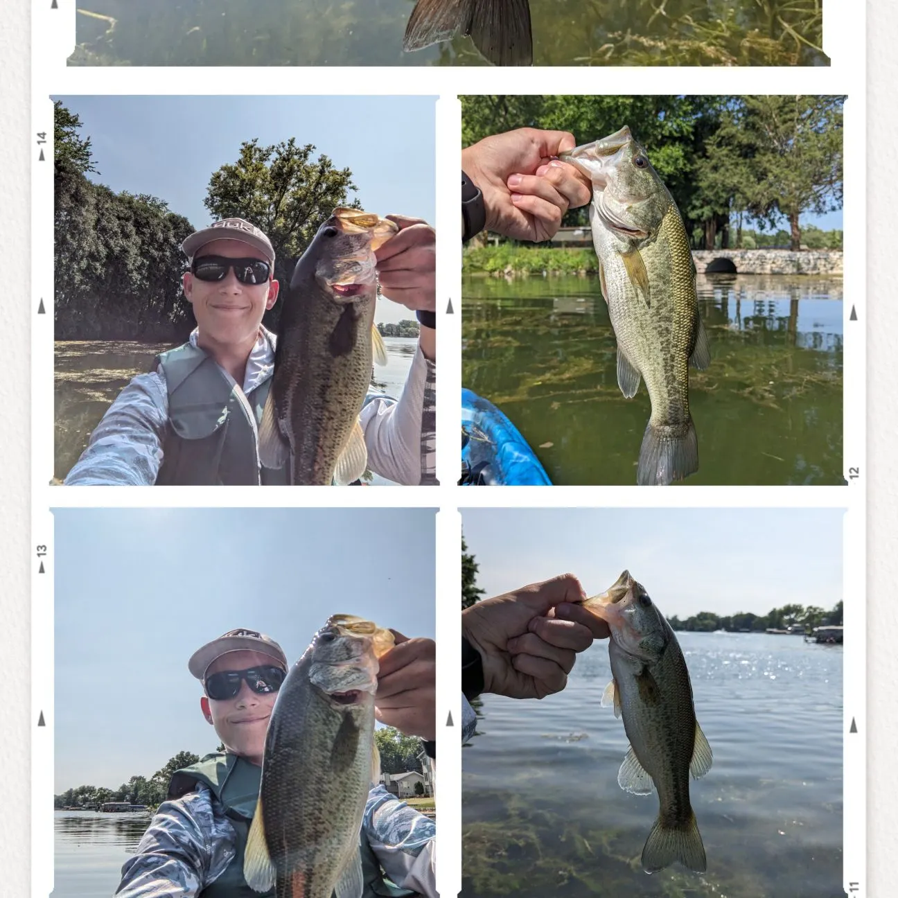 recently logged catches