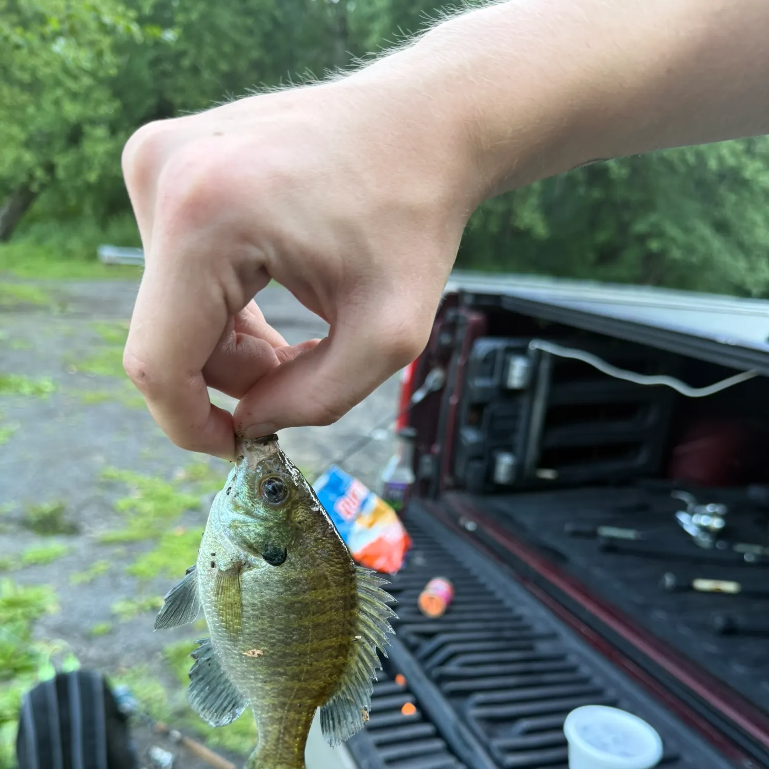 catch