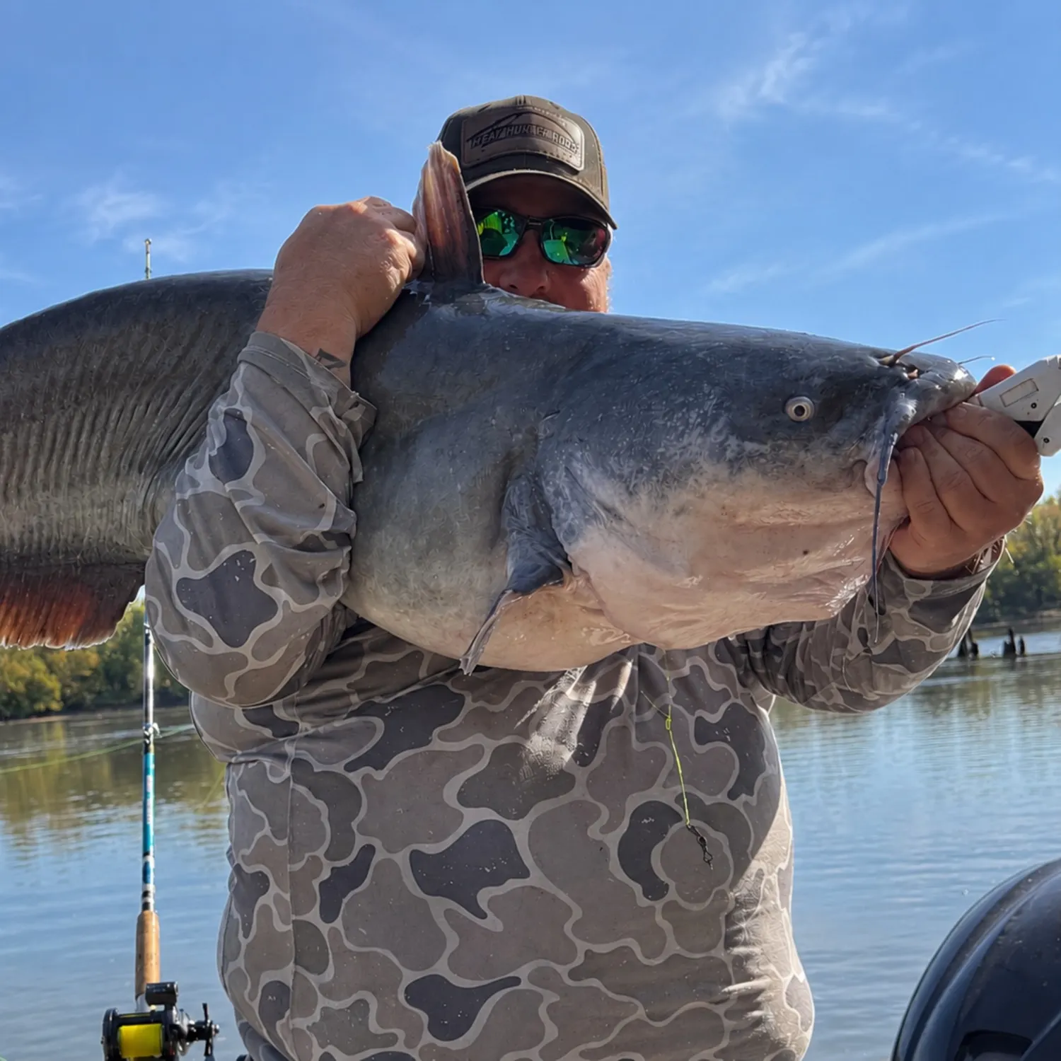Blue catfish caught on Fishbrain