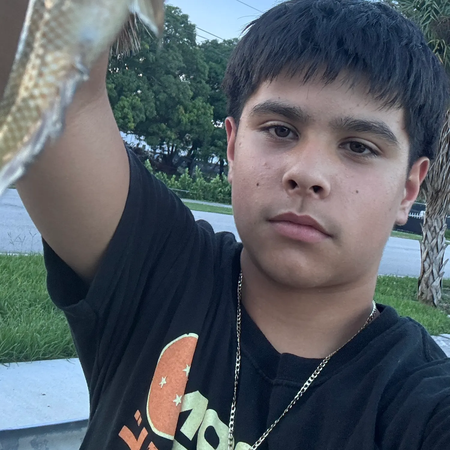 Mayan cichlid caught on Fishbrain