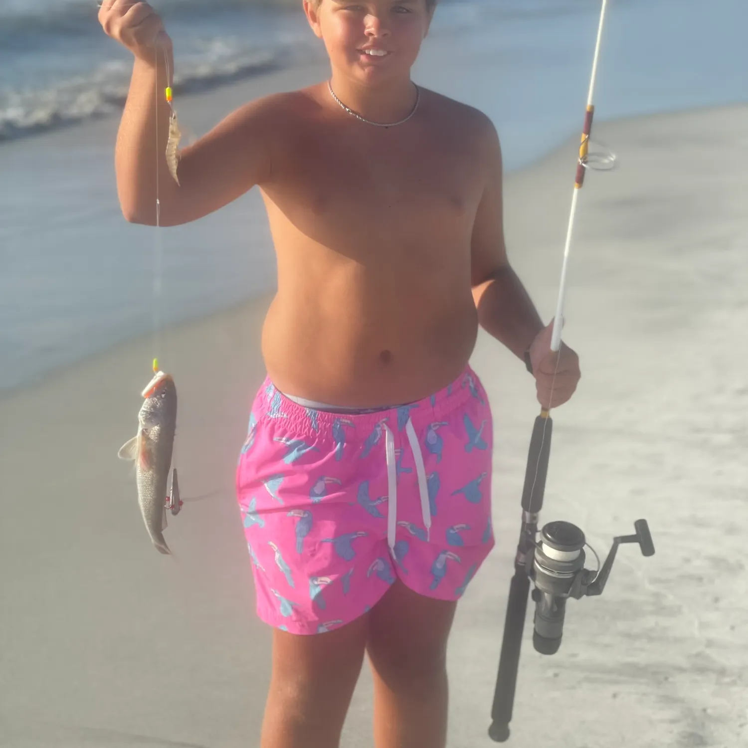 The most recent Blue whiting catches on Fishbrain