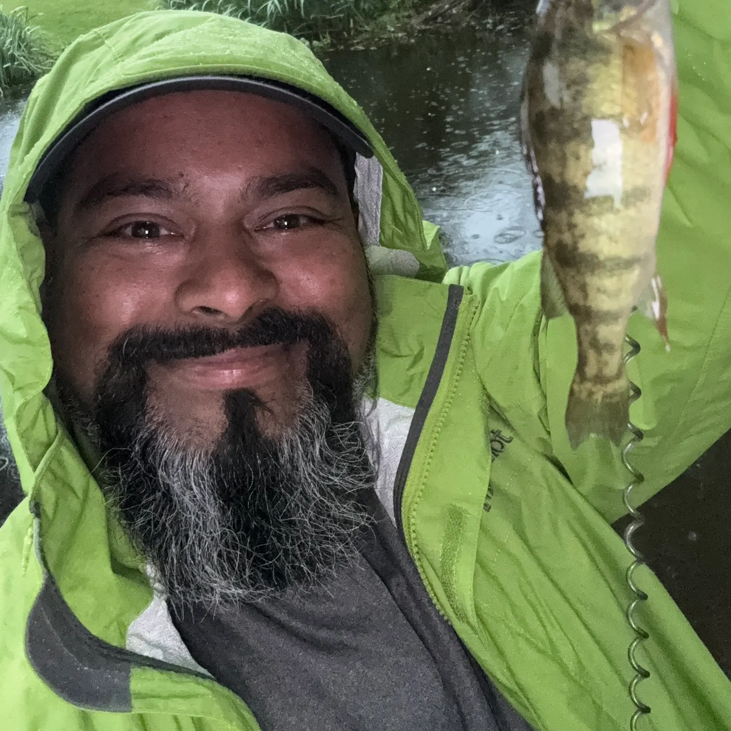 The most recent Common logperch catches on Fishbrain