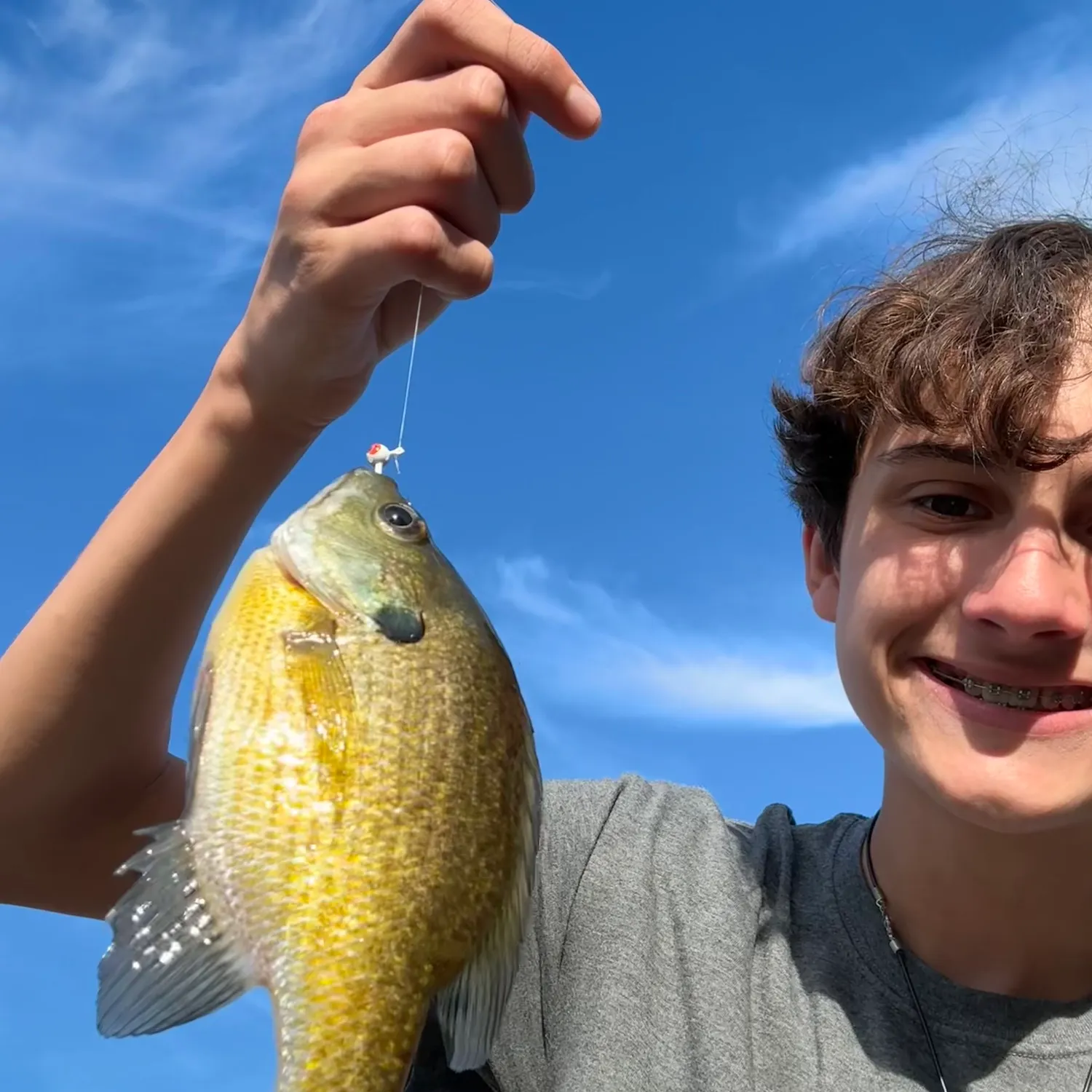 Bluegill caught on Fishbrain