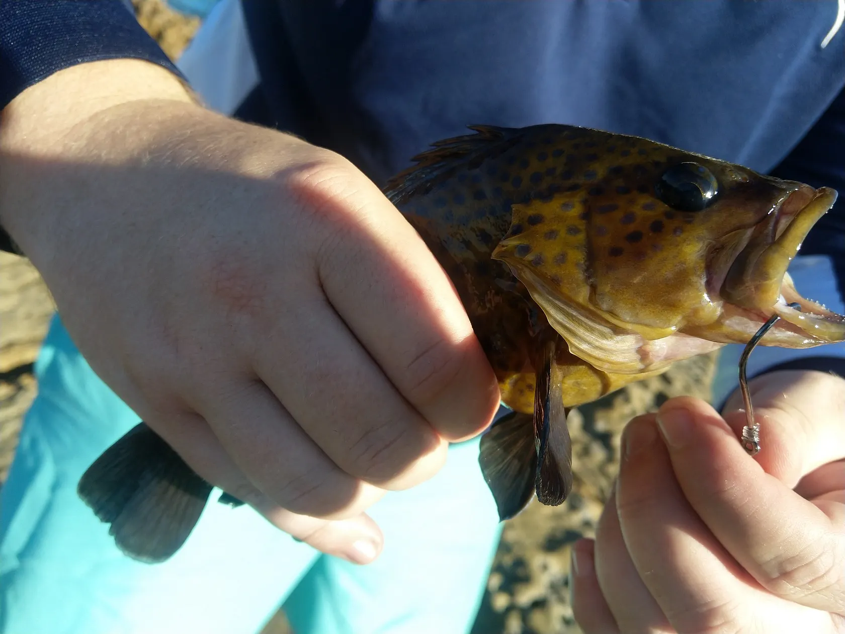 Post image from jordan.abbott