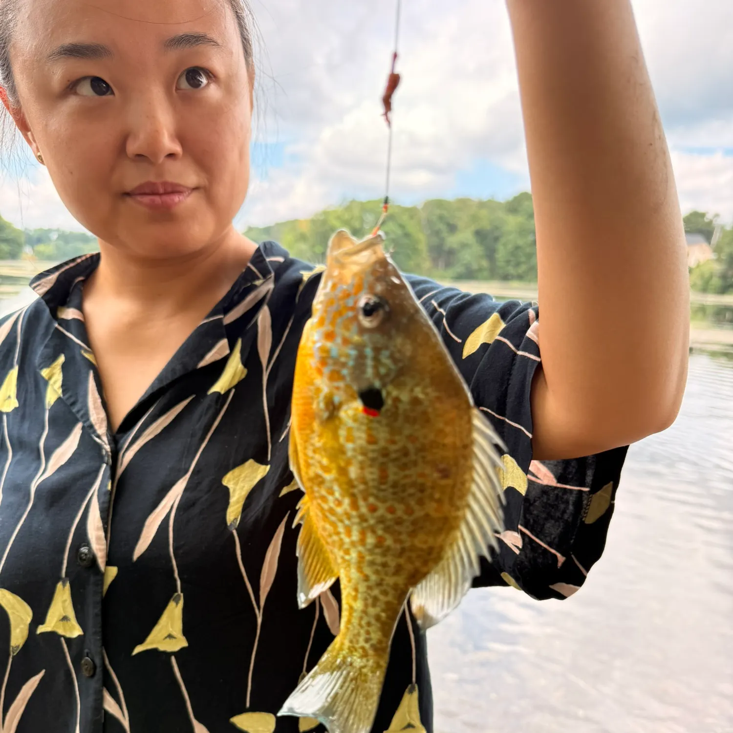 Pumpkinseed caught on Fishbrain