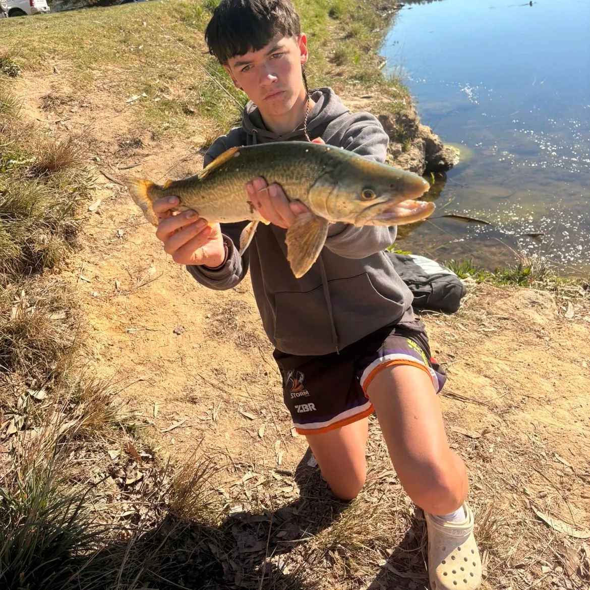 Tiger trout caught on Fishbrain