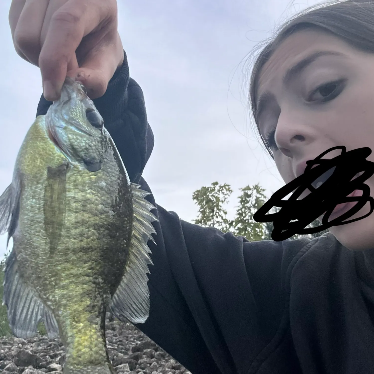Bluegill caught on Fishbrain