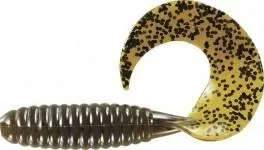 Fat Curly Tail