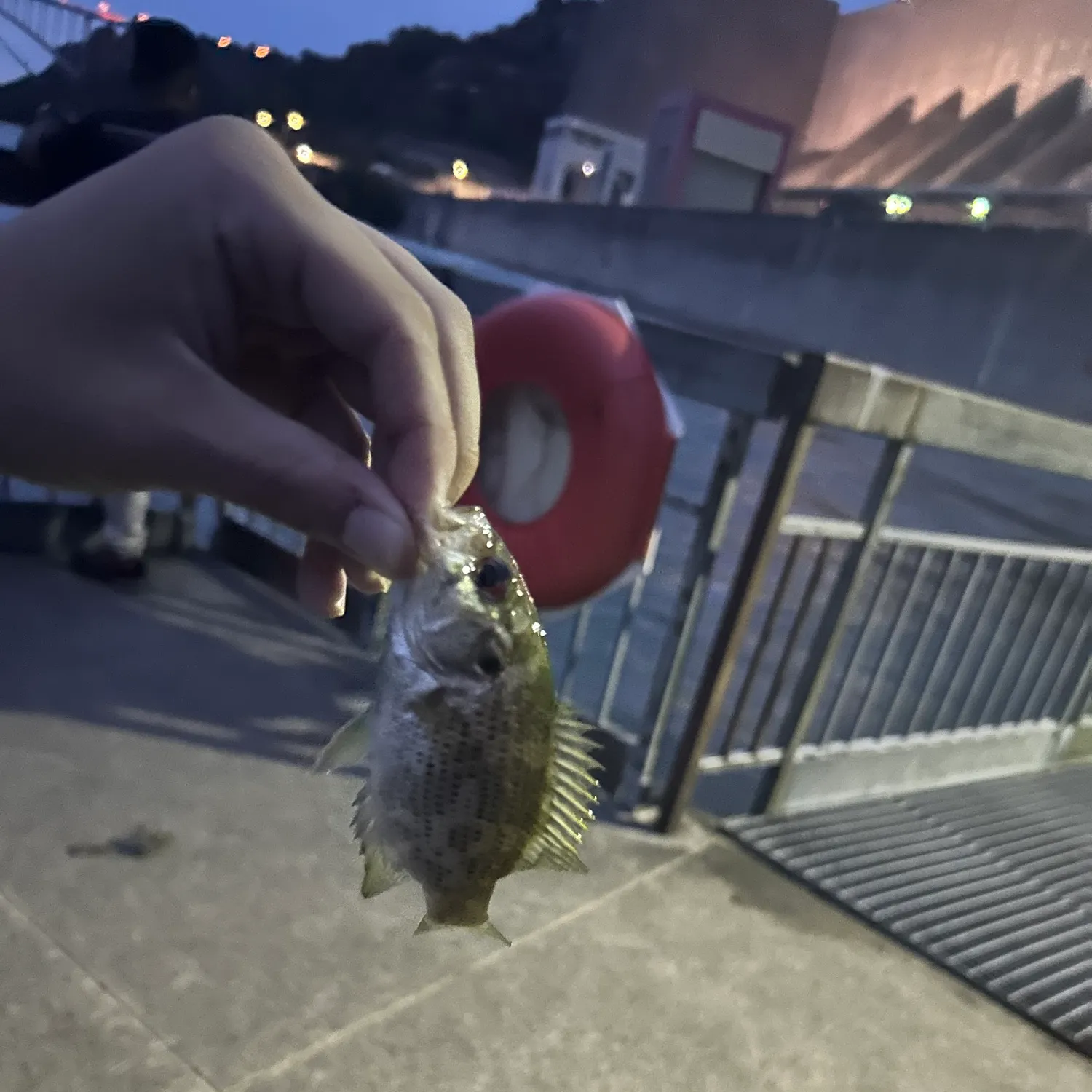 catch